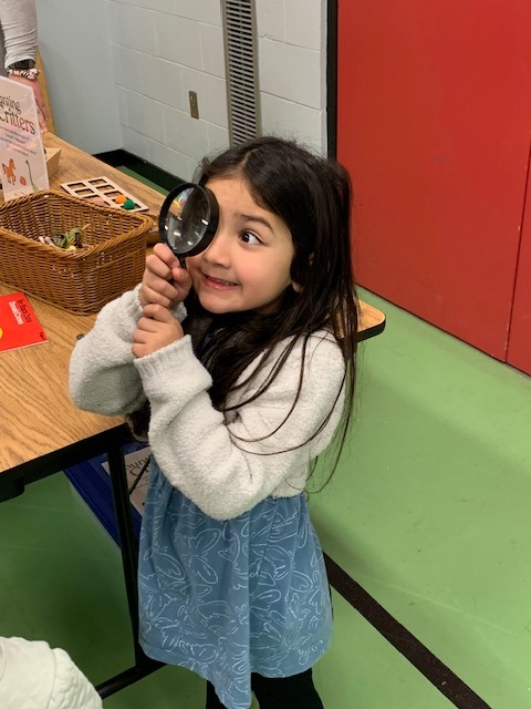 Ready Set Learn - PAR4